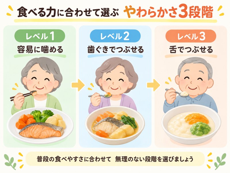 食べる力に合わせて選べる、容易に噛める・歯ぐきでつぶせる・舌でつぶせる3段階のやわらかさを示した図解